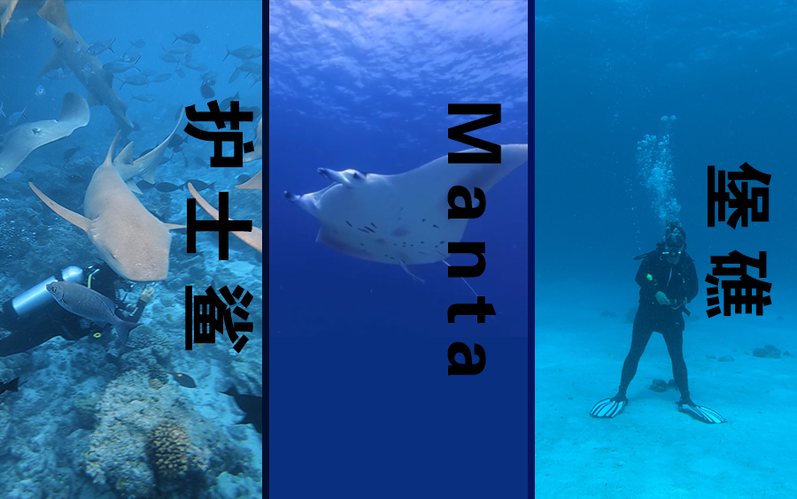 远线潜水  ●  3潜