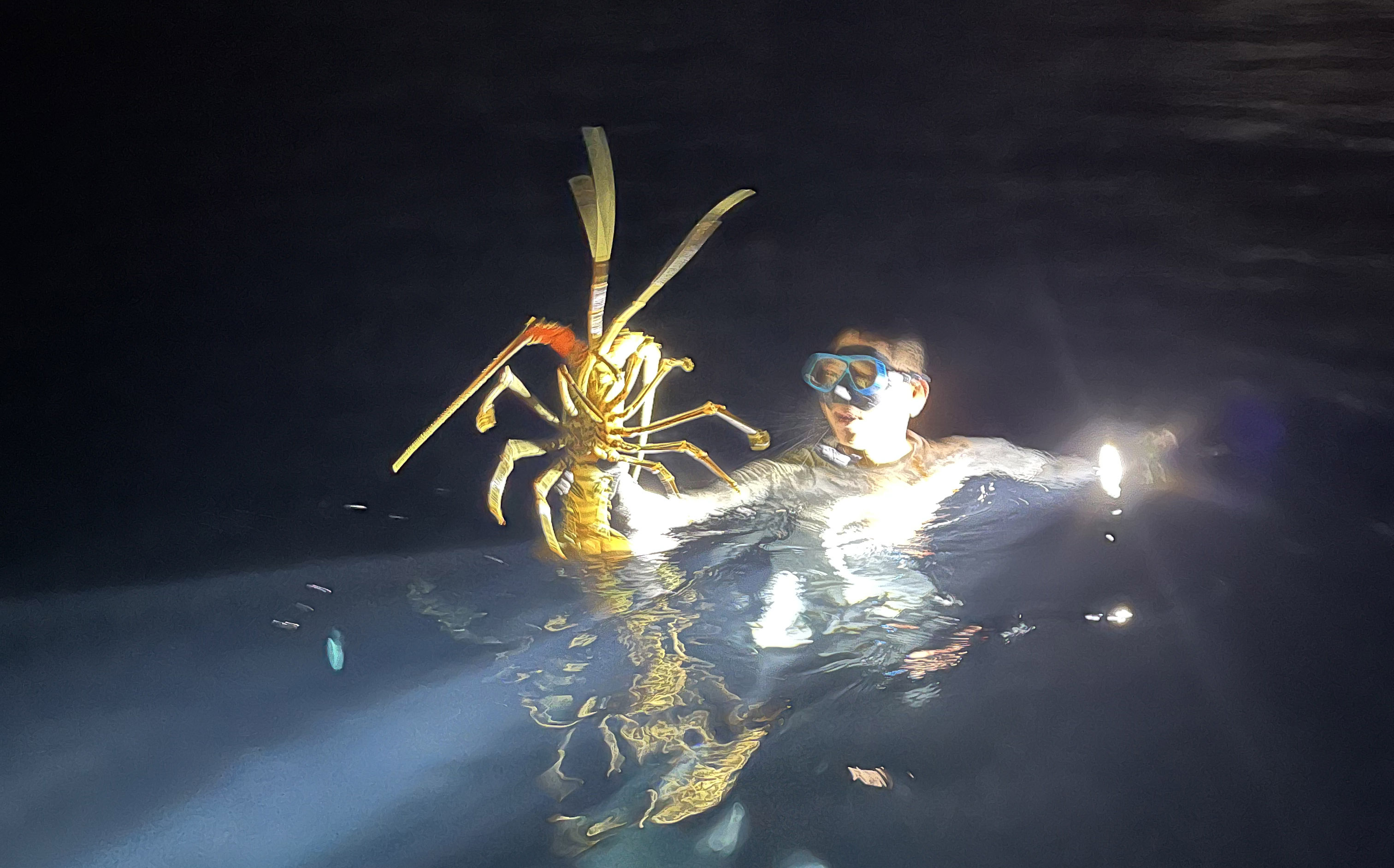 Night snorkeling